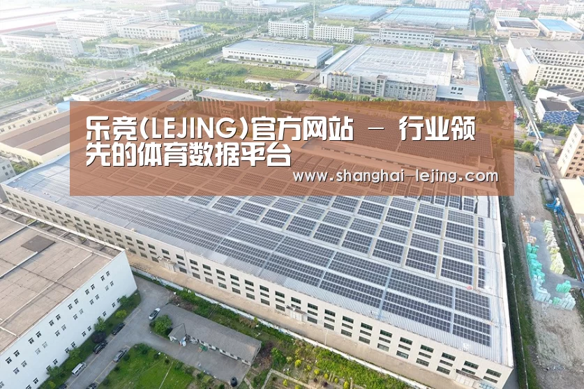 案例展示一