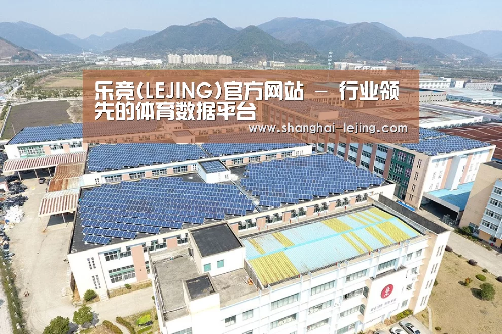 案例展示四