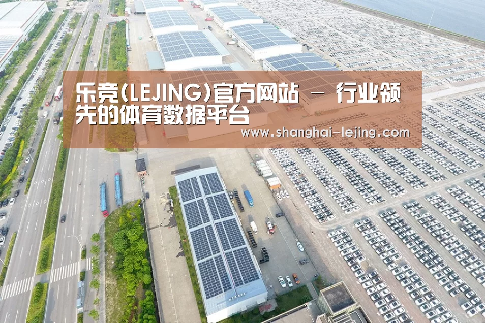 案例展示四