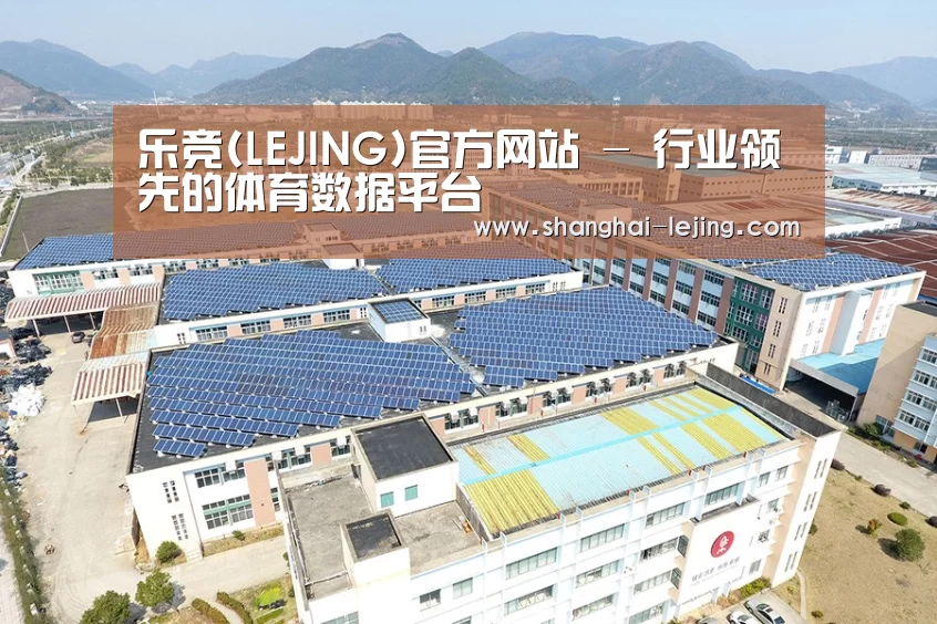 案例展示三